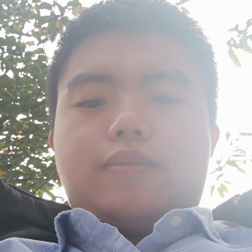 温暖冬日暖阳的照片