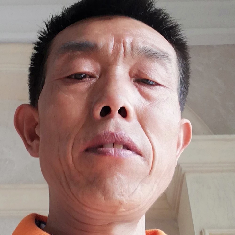 落寞黑猫寻找爱人的照片