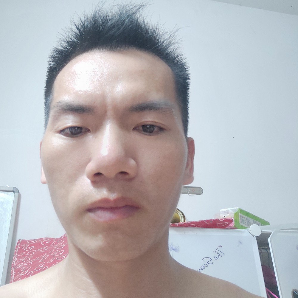 帅气演变蜜蜂的照片