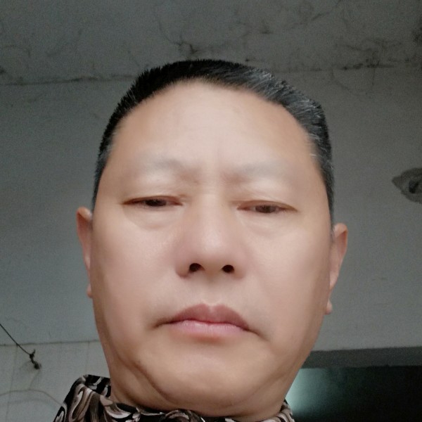 爱恋老虎的照片
