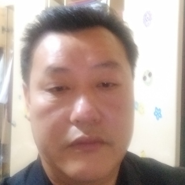 外滩上的羊的照片
