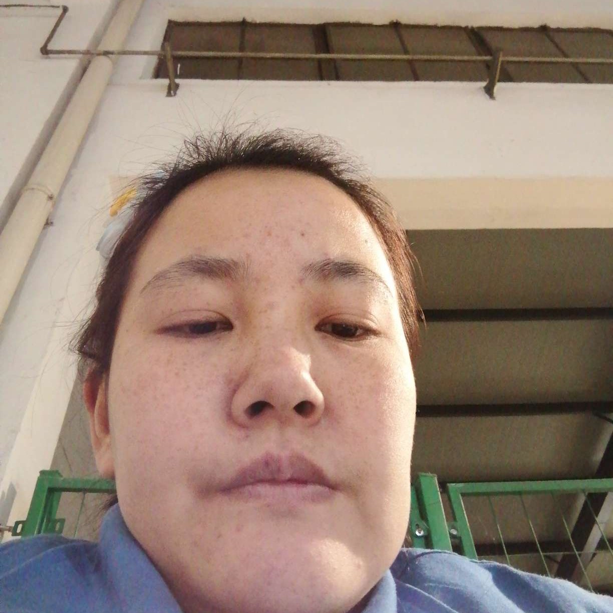 红牛若梦的照片
