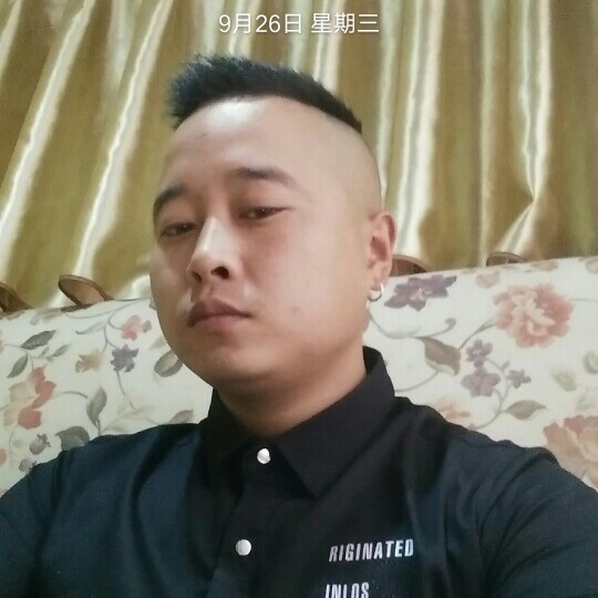 畅快海燕的照片