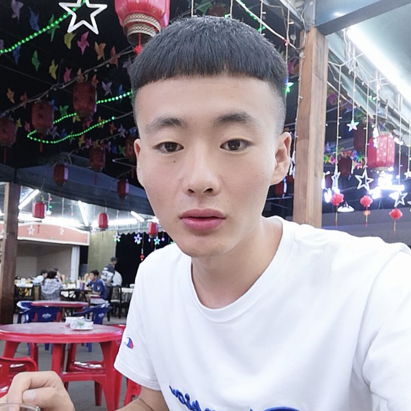 小松鼠自觉的照片