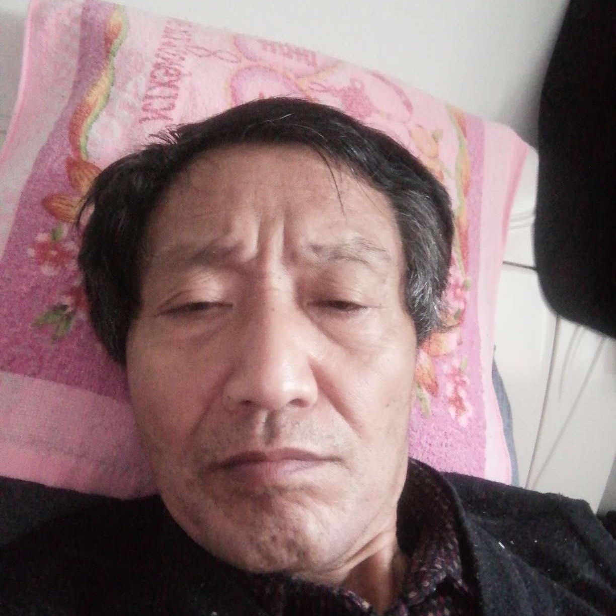 玫瑰爱能干的照片