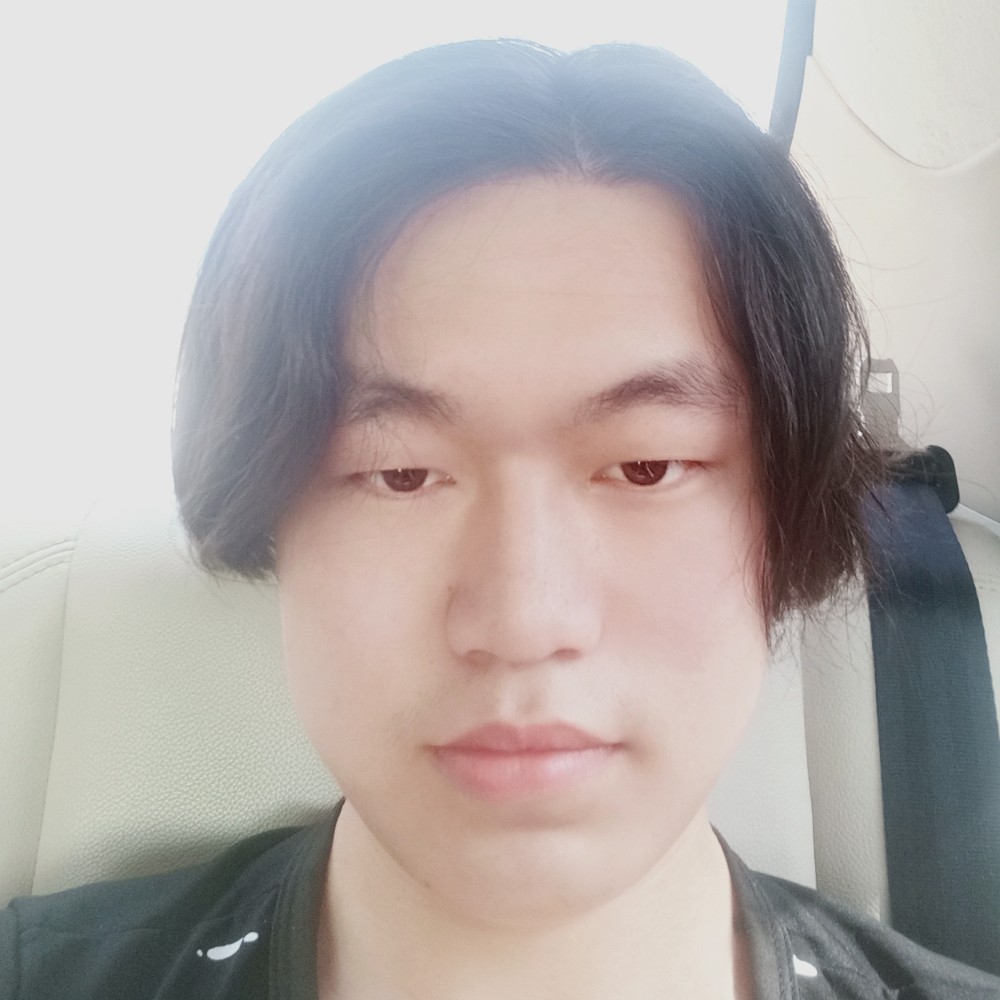 迪比斯的照片