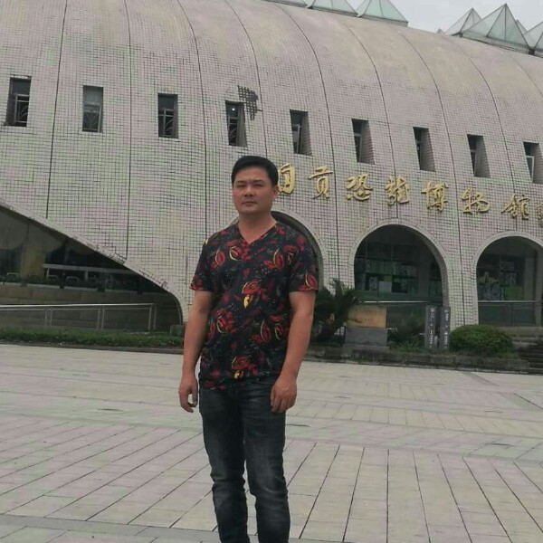 踏实斑马的照片