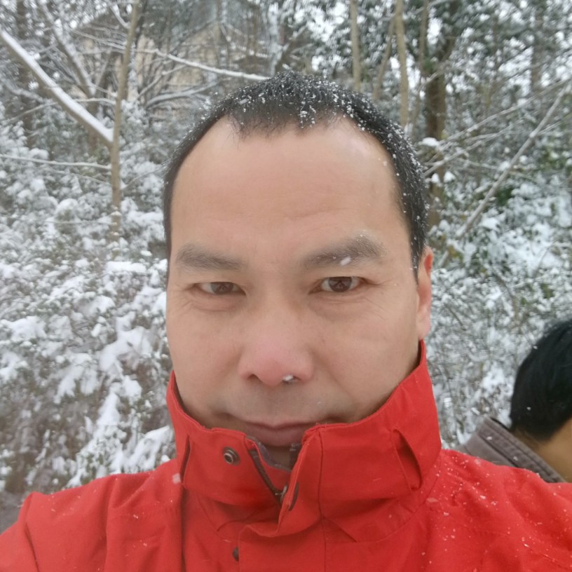 迎着朝阳的照片