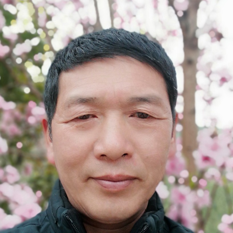 含羞草泪了斯文的照片