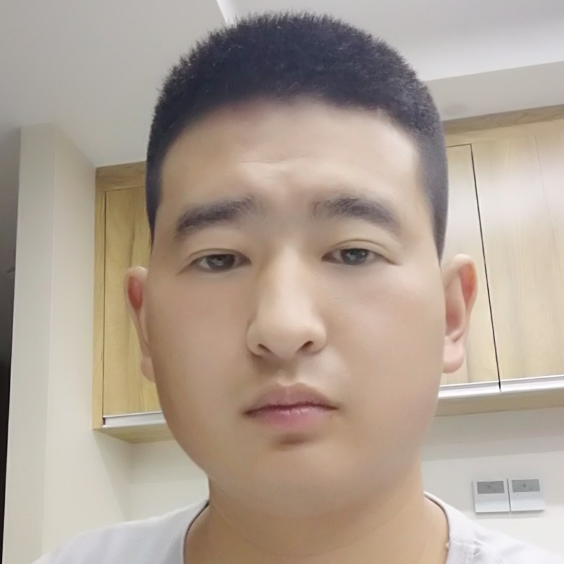 孤独的狼的照片