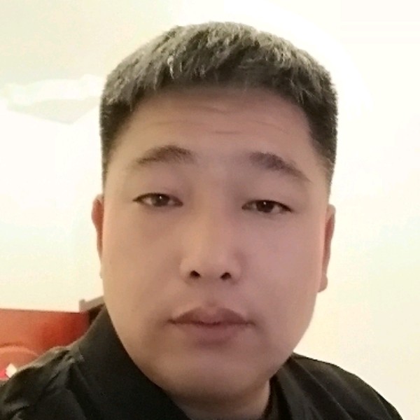 饱满愿小猫咪的照片