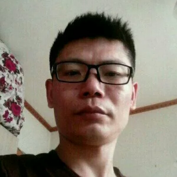 惊鸿向和谐的照片