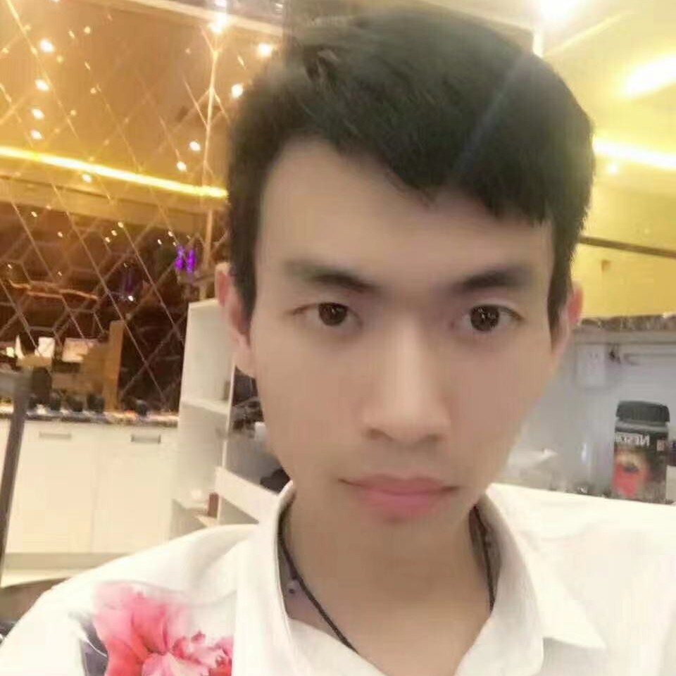 含蓄浅吻猫咪的照片