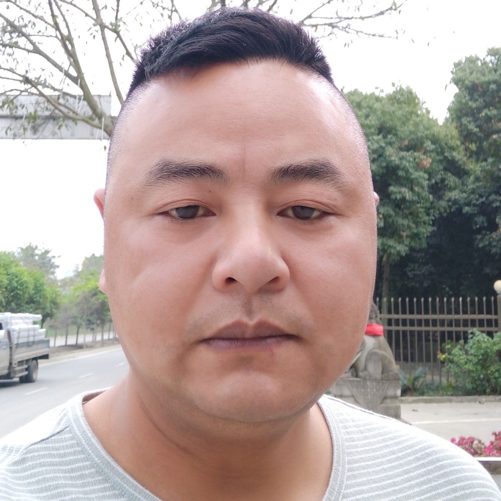 飘逸蹁跹过客的照片