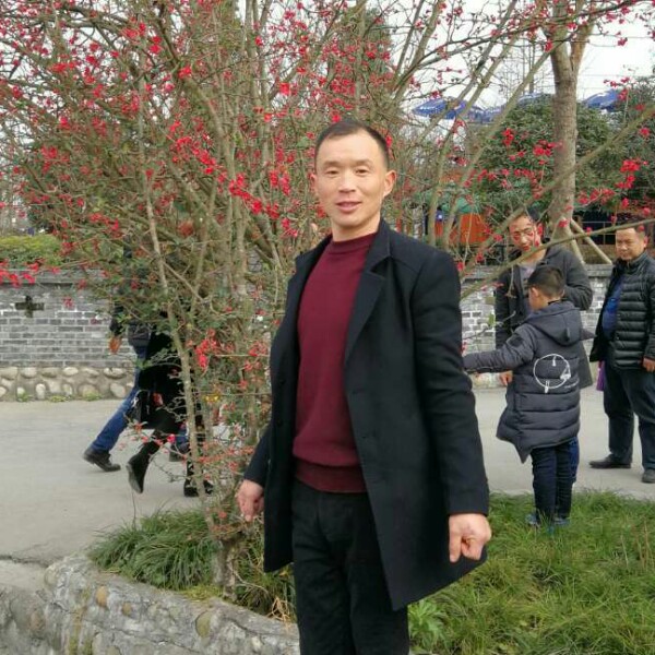 vm小说口令#0的照片