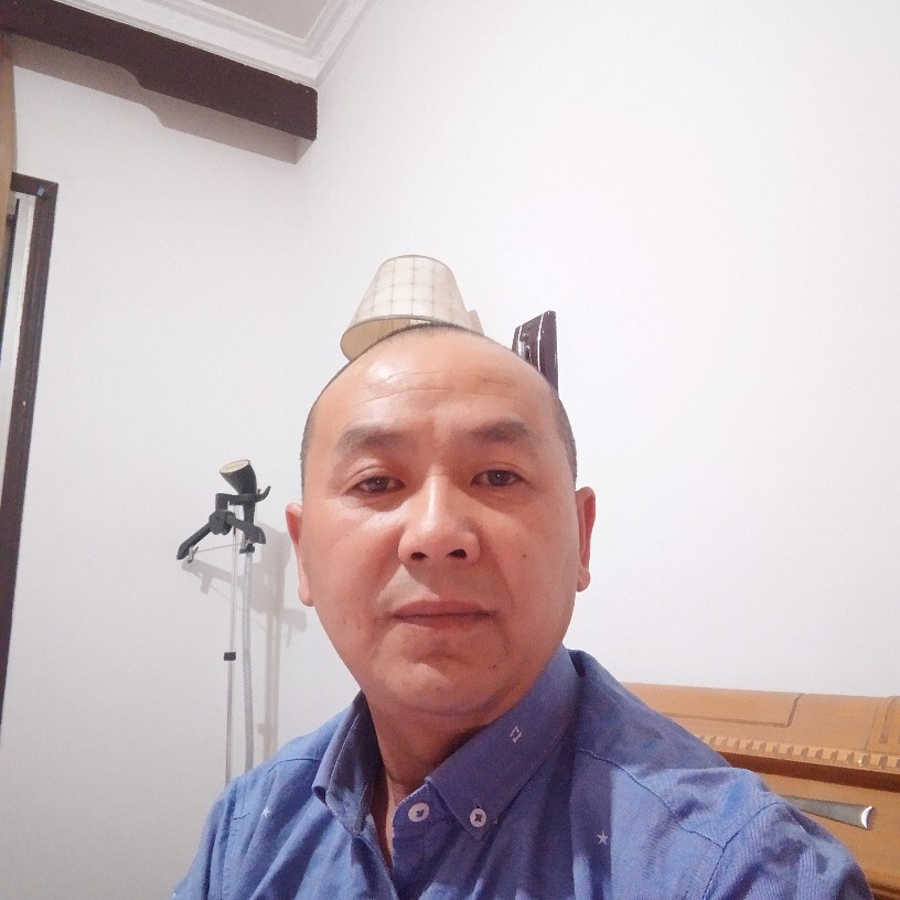 感动金鱼的照片