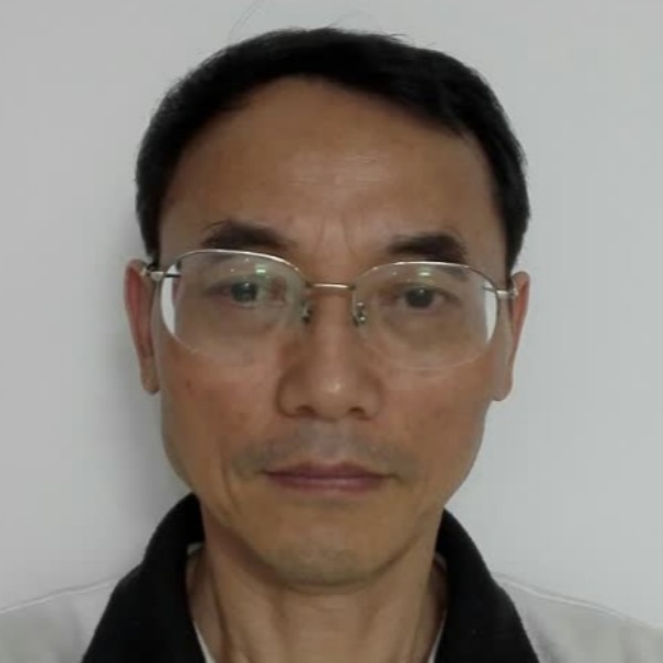英俊乌龟的照片