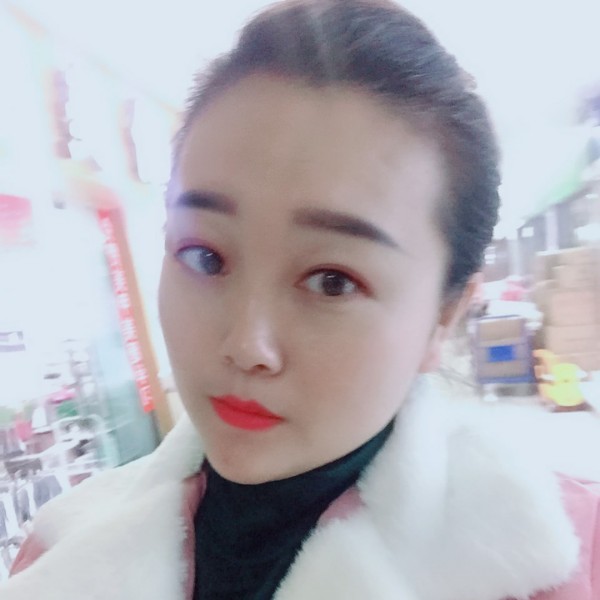 漂亮蜜蜂的照片