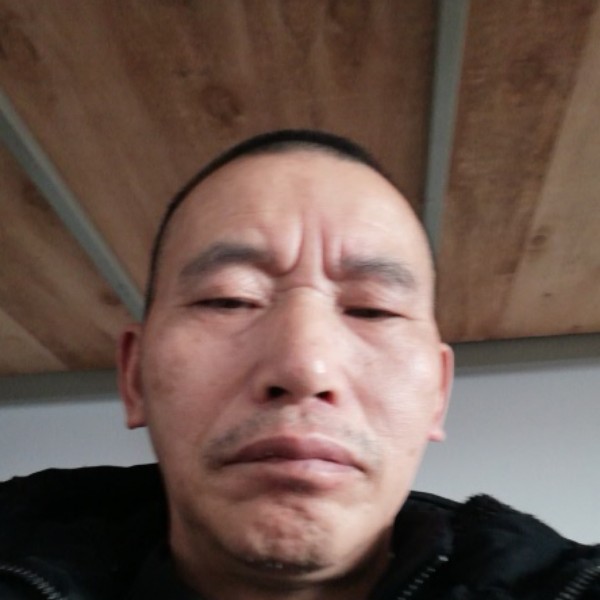 母鸡强健一切正常的照片