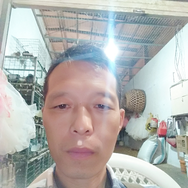 苗条衬衫的照片