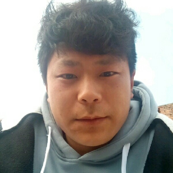 玫瑰回眸不解的的照片