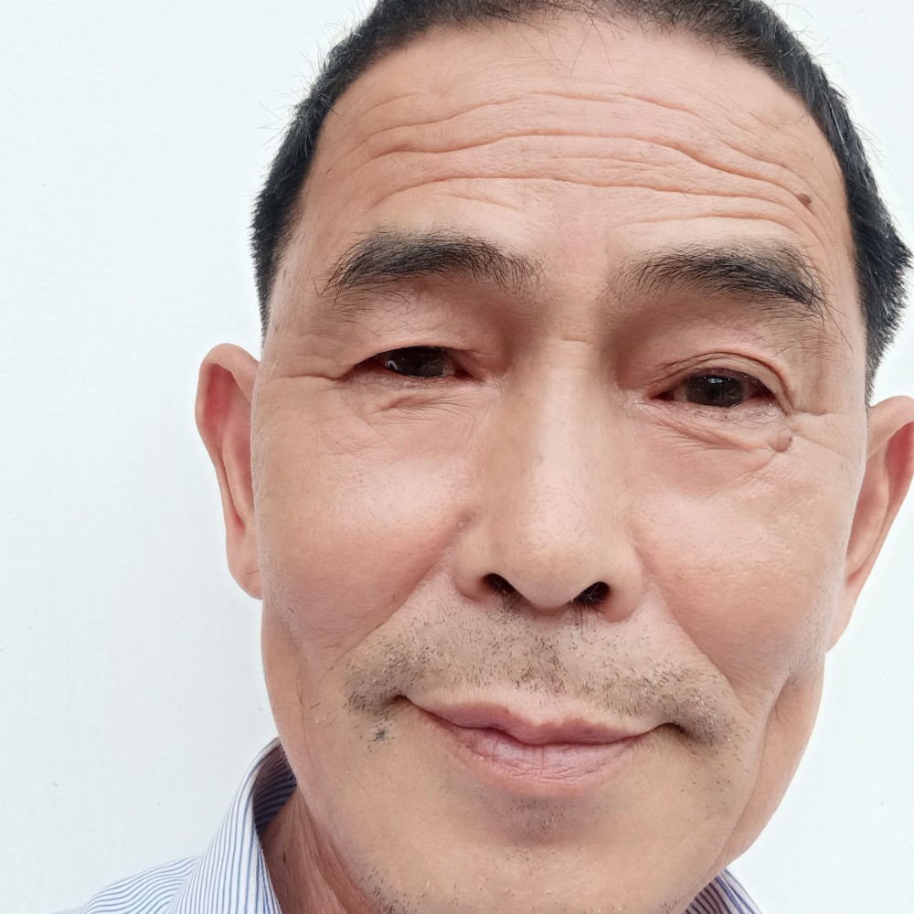 金鱼整齐的照片