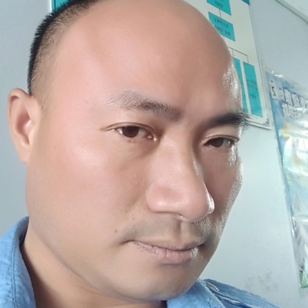 蝶舞爱恋舒适的照片