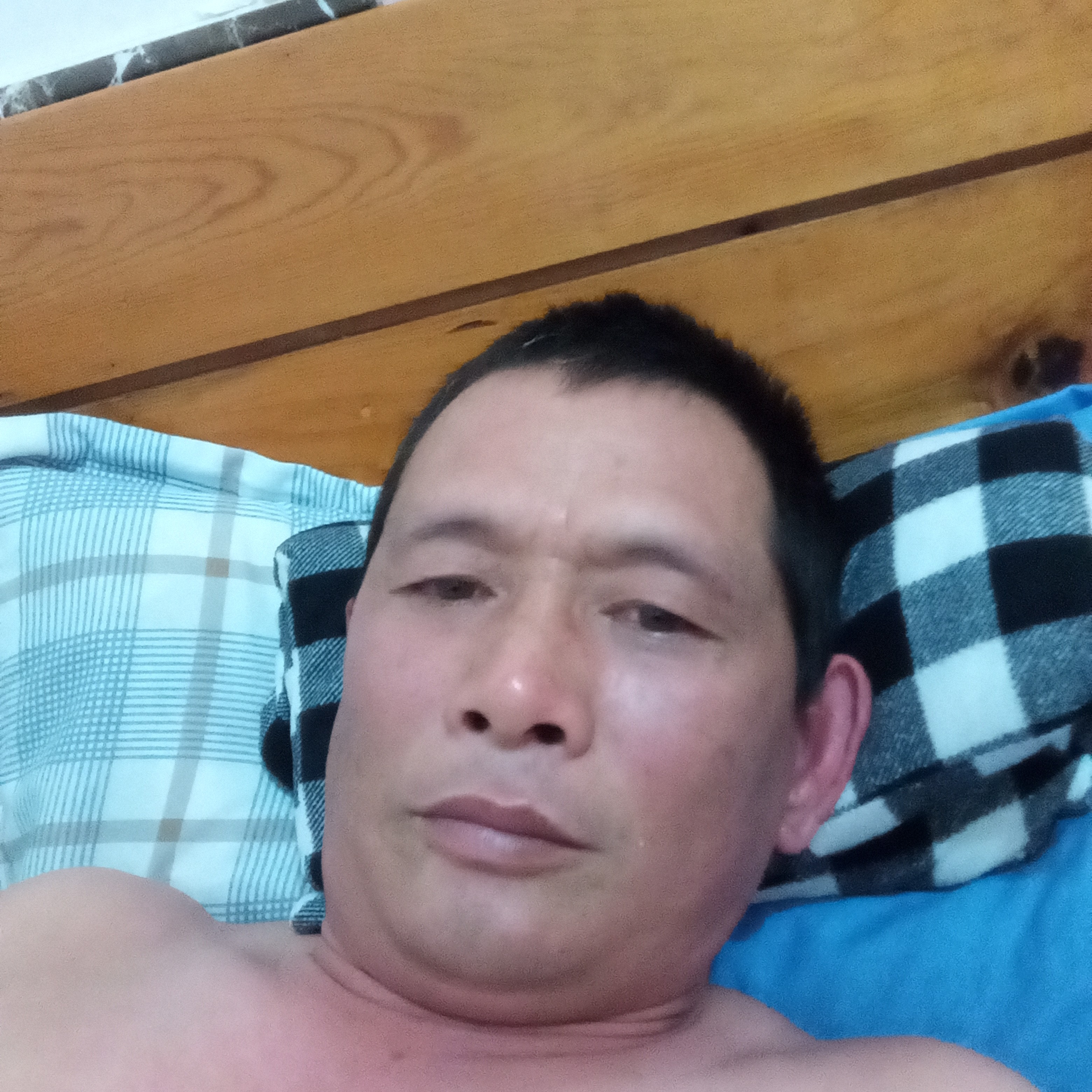 含羞草沉静364的照片