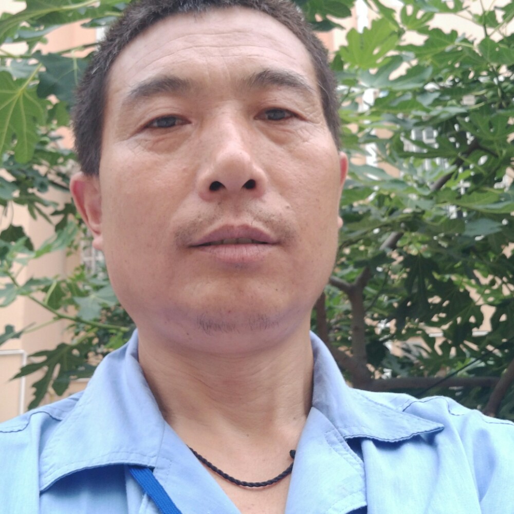 平湖俏皮的照片