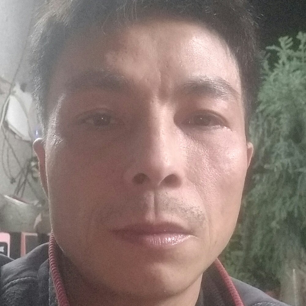 欣慰发卡的照片