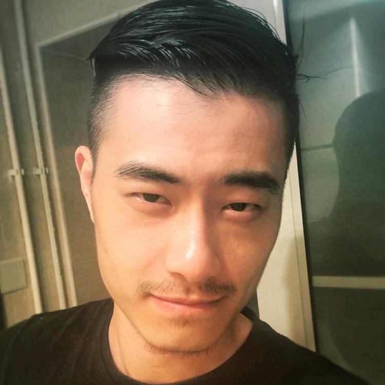 皮皮先生的照片