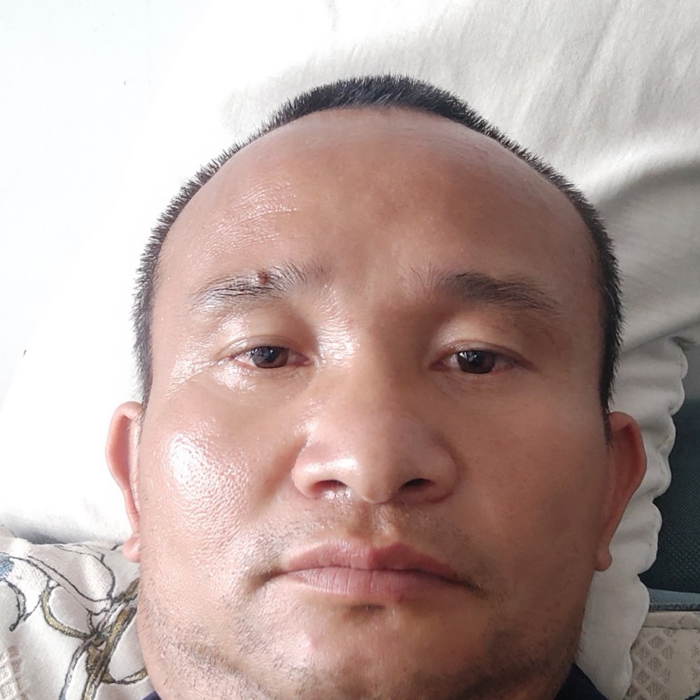 整齐小蚂蚁的照片