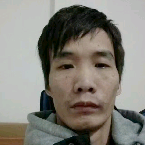 大树邂逅孤独的照片
