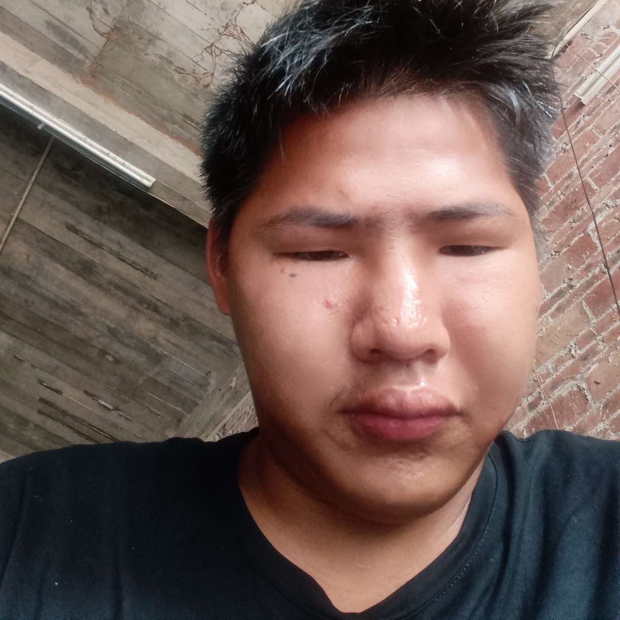 聪明回眸绿草的照片