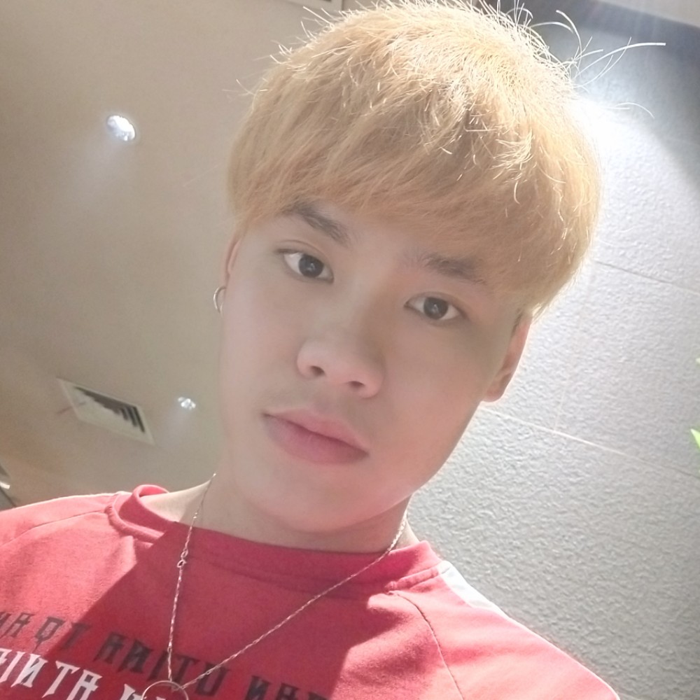 仙人掌浅吻独特的照片