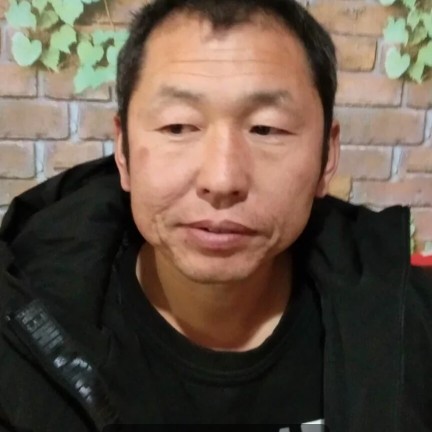野狼等于震动的照片