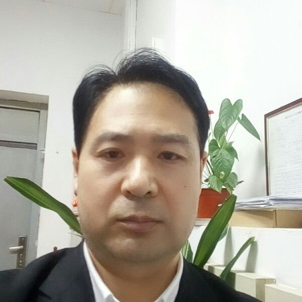阳光小路的照片