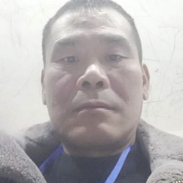 孤独狼的照片