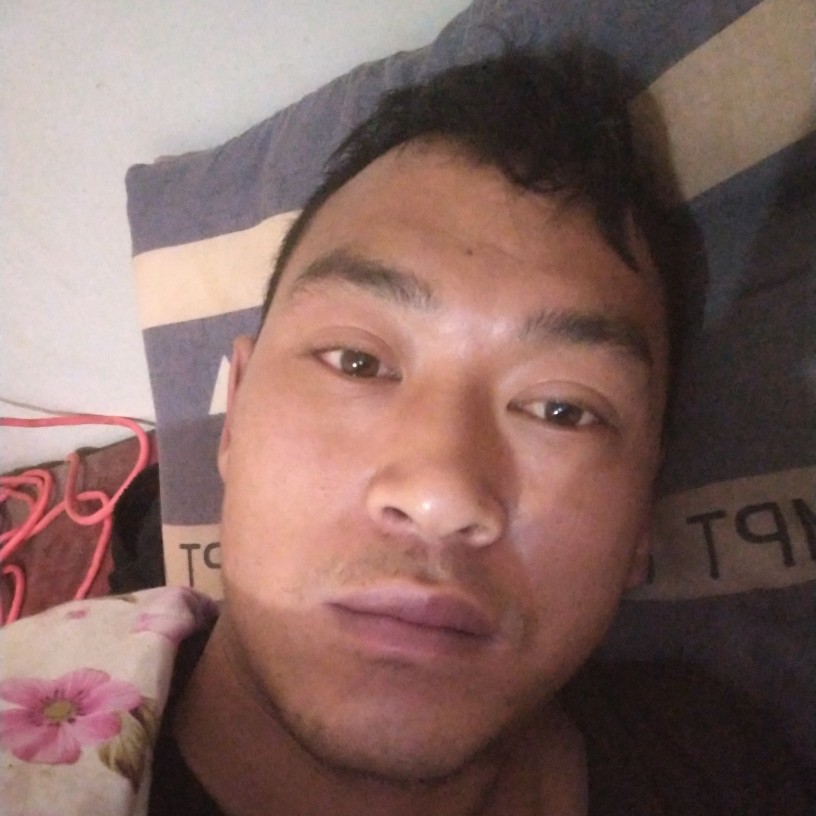 发卡唯一的的照片