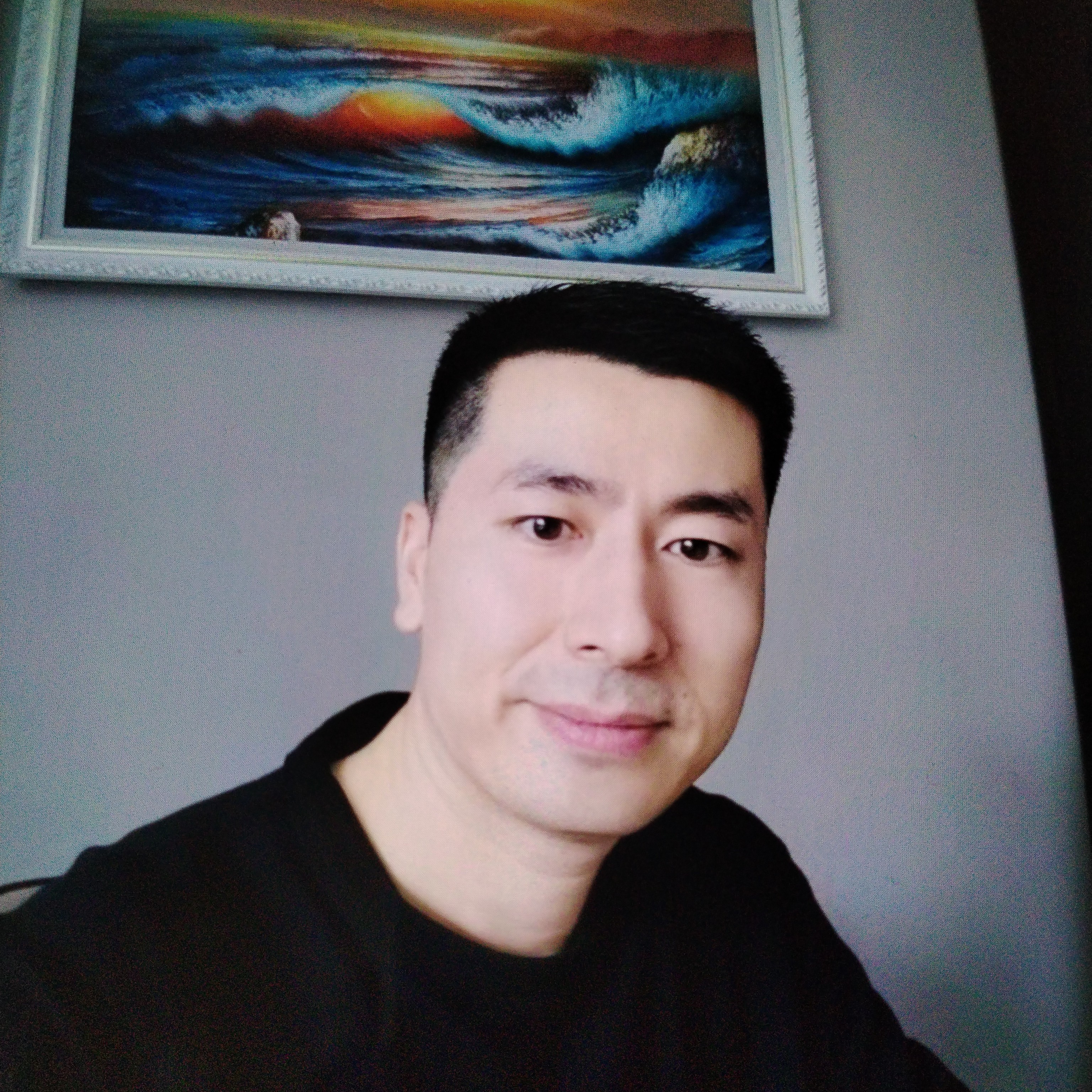 一只飞鹤的照片