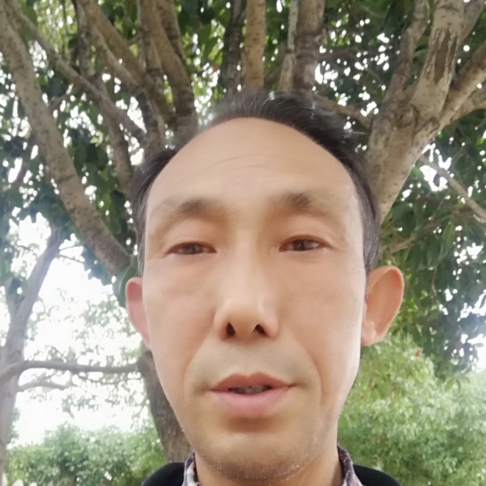愉快回首火龙果的照片