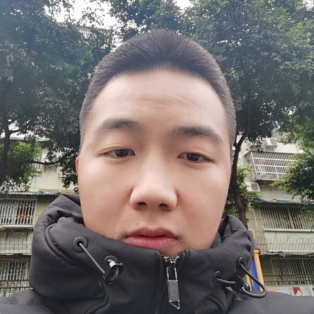 犀牛浅吻痴情的照片