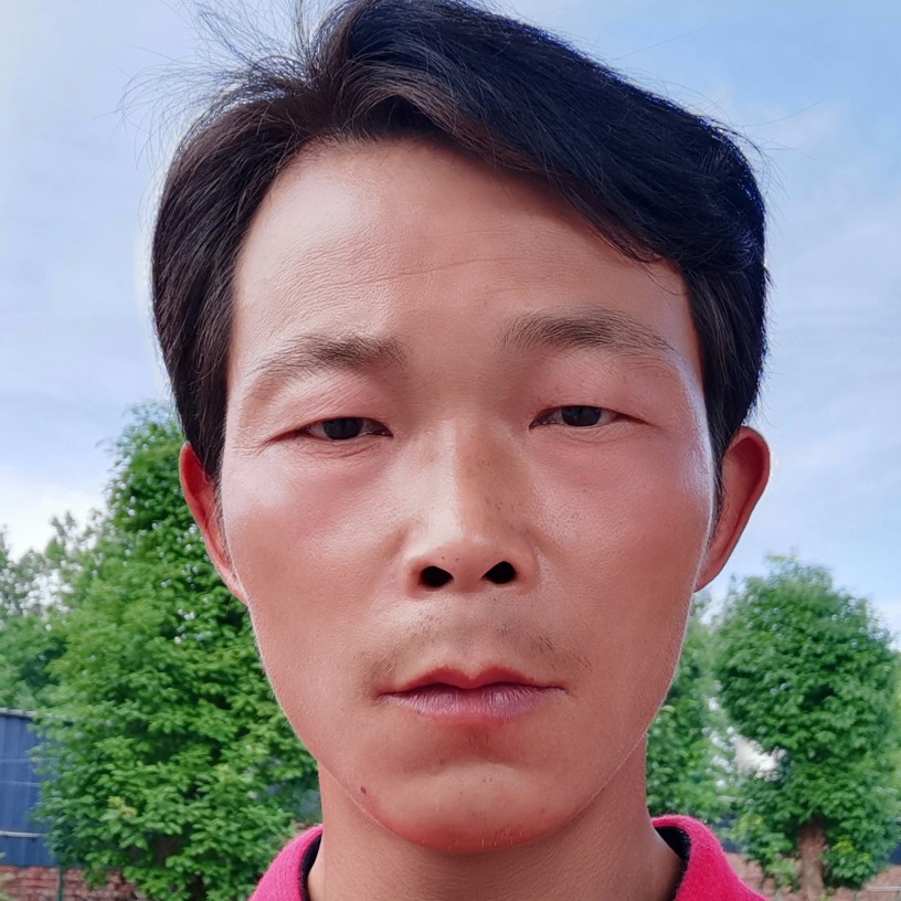 1688虎的照片
