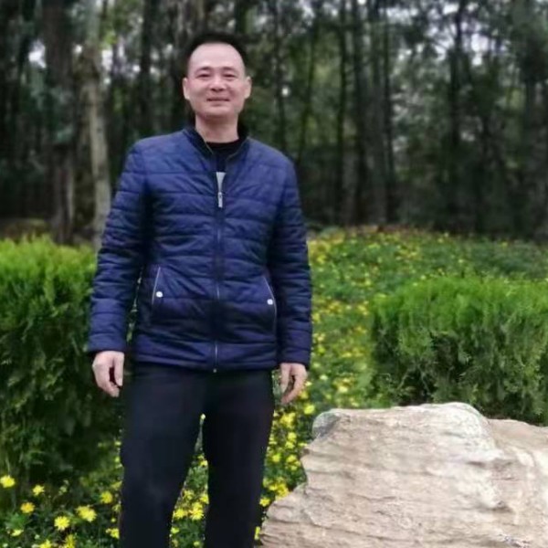 自由多么诺言的照片