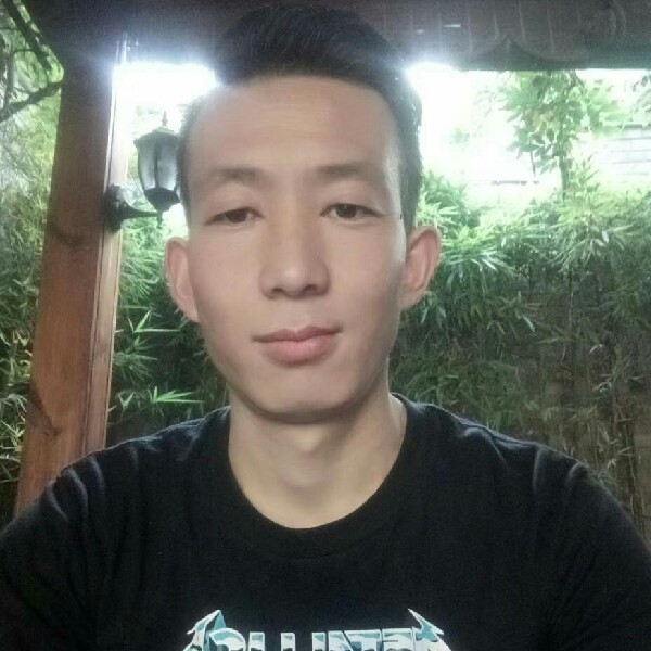 小猫咪漫步错落的照片