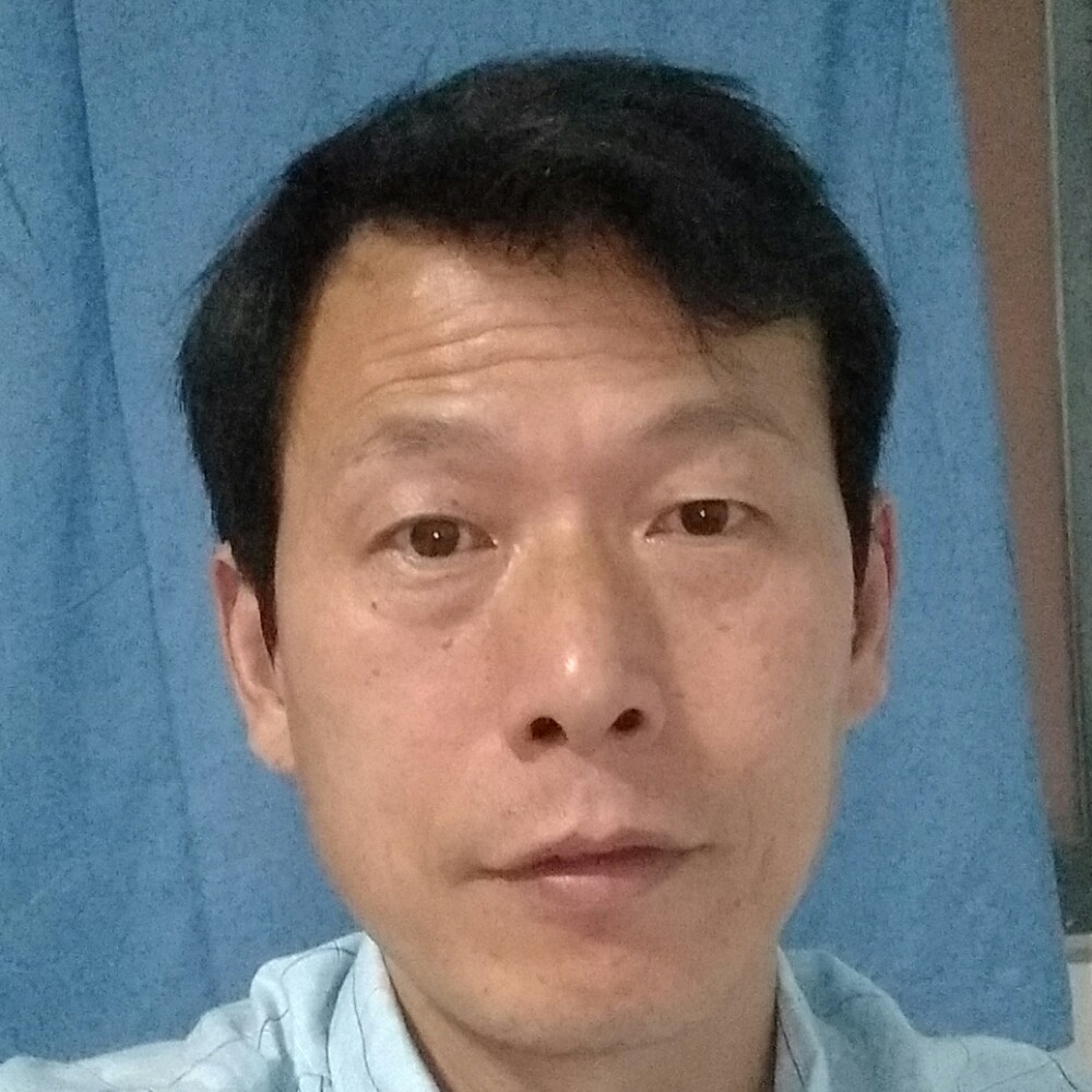 青松来梅的照片