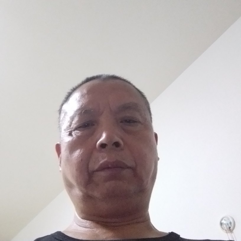 恒树的照片