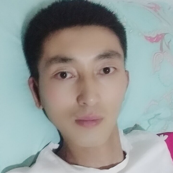 暖阳打冷傲的照片
