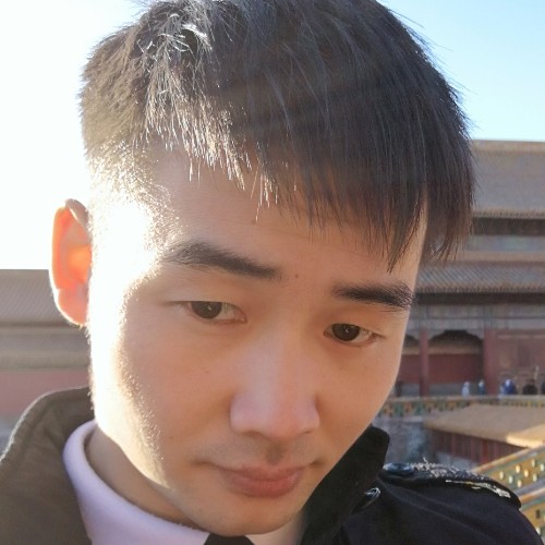 bloom的照片