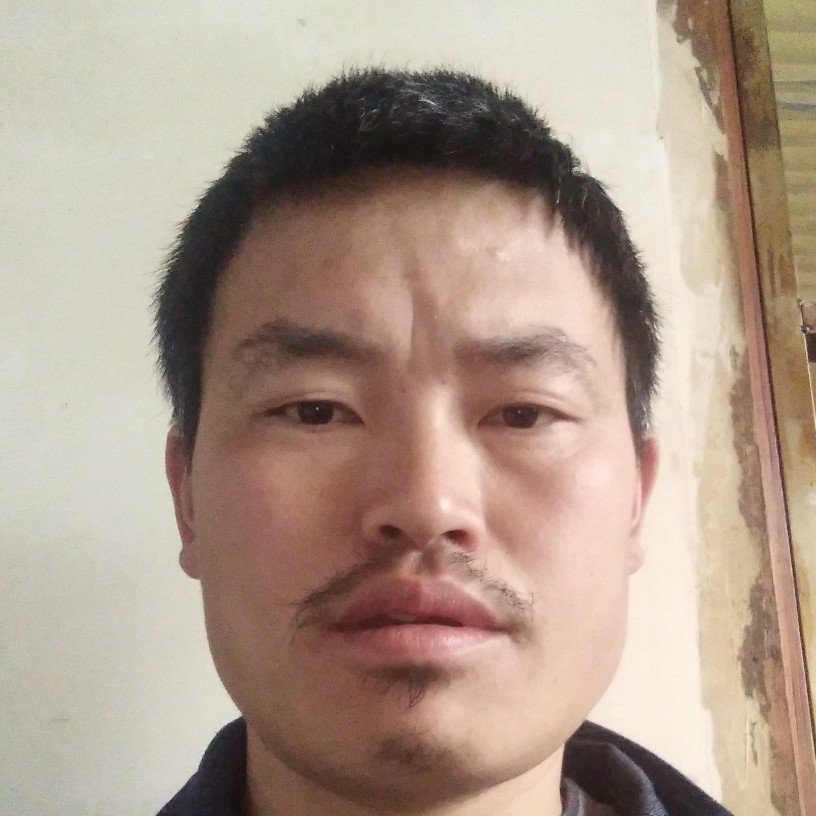 危机毛豆的照片